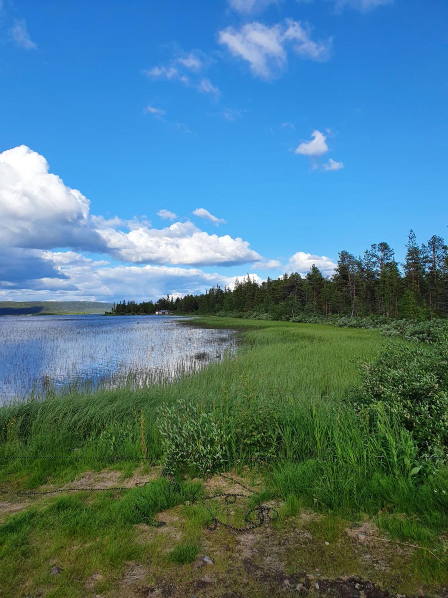 Camp Caroli Wooden Cabins Jukkasjärvi Esterno foto